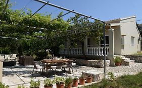 The Olive Grove House