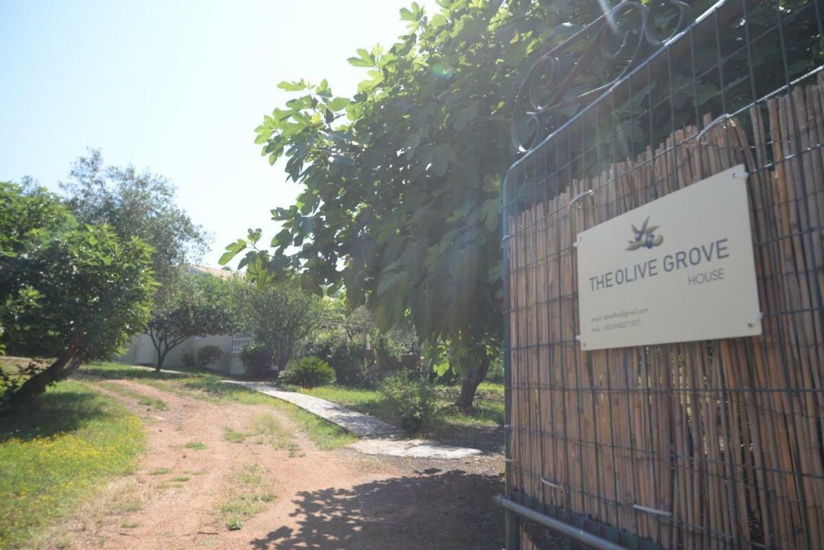 The Olive Grove House Villa Kassiopi Exterior photo